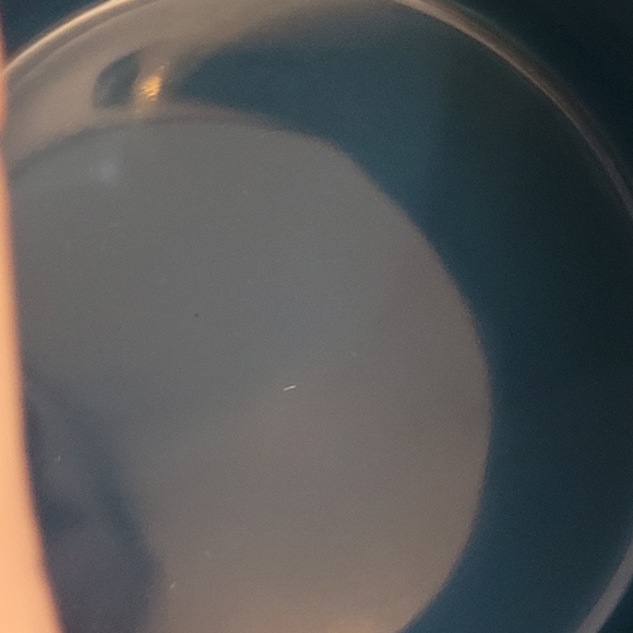 Starbucks Virginia Been There Series Mug - Picture 8 of 9